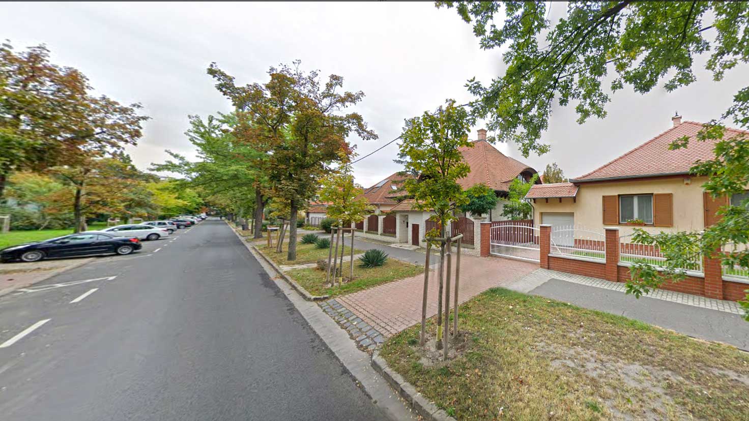 A zöldövezet utcájában sok a fa és füvesített terület, melyet az önkormányzat rendszeresen karbantart