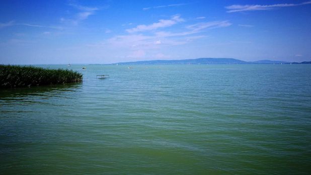 A Balaton déli partján, közvetlen vízparti építési telek eladó